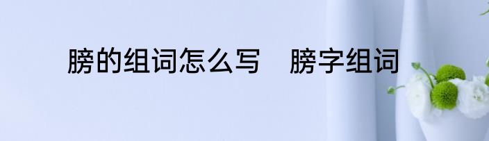 膀的组词怎么写　膀字组词