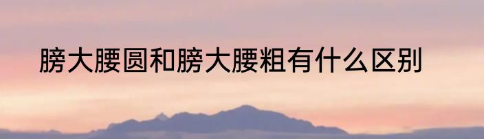 膀大腰圆和膀大腰粗有什么区别
