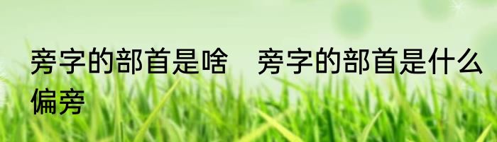 旁字的部首是啥　旁字的部首是什么偏旁