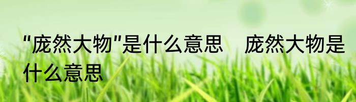 “庞然大物”是什么意思　庞然大物是什么意思