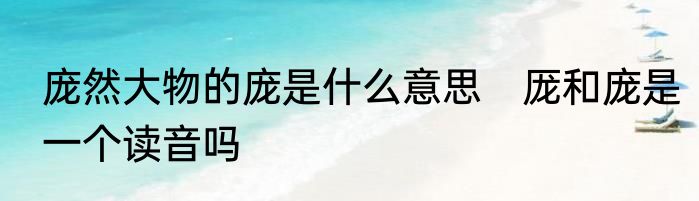 庞然大物的庞是什么意思　厐和庞是一个读音吗