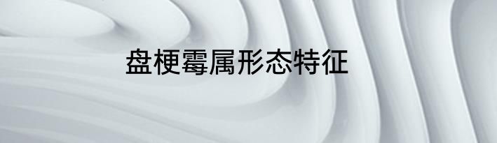 盘梗霉属形态特征