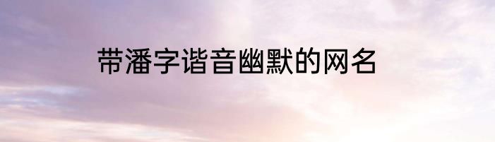 带潘字谐音幽默的网名