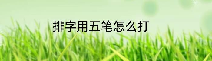 排字用五笔怎么打