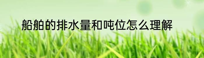 船舶的排水量和吨位怎么理解