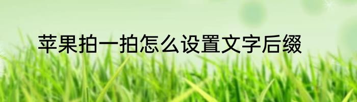 苹果拍一拍怎么设置文字后缀