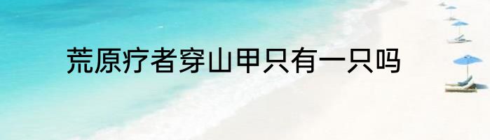荒原疗者穿山甲只有一只吗