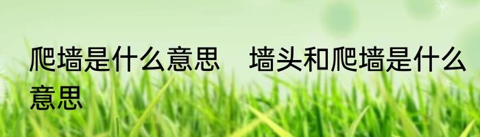 爬墙是什么意思　墙头和爬墙是什么意思