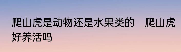 爬山虎是动物还是水果类的　爬山虎好养活吗