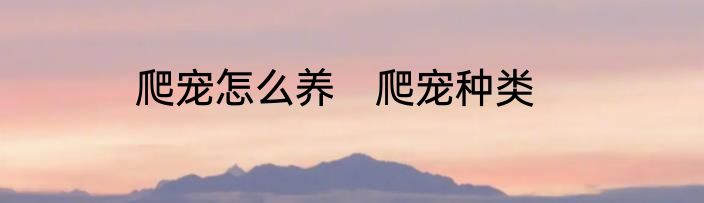 爬宠怎么养　爬宠种类