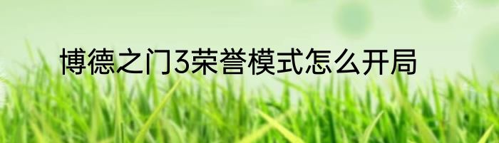 博德之门3荣誉模式怎么开局