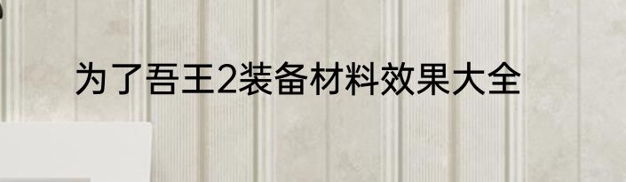为了吾王2装备材料效果大全