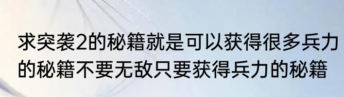 求突袭2的秘籍就是可以获得很多兵力的秘籍不要无敌只要获得兵力的秘籍