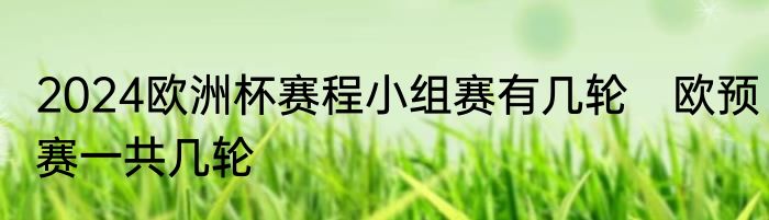 2024欧洲杯赛程小组赛有几轮　欧预赛一共几轮