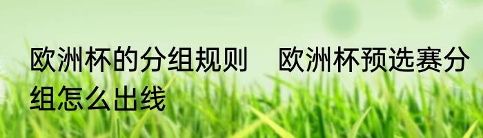 欧洲杯的分组规则　欧洲杯预选赛分组怎么出线