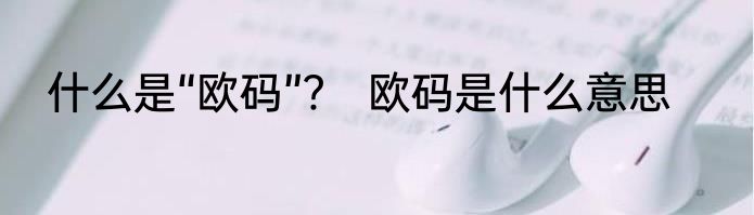 什么是“欧码”﹖　欧码是什么意思