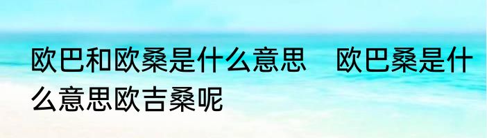 欧巴和欧桑是什么意思　欧巴桑是什么意思欧吉桑呢