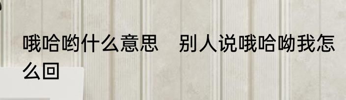 哦哈哟什么意思　别人说哦哈呦我怎么回