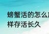 螃蟹活的怎么放的长久　活飞蟹怎么样存活长久