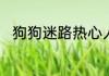 狗狗迷路热心人按电梯逐层帮找家