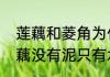 莲藕和菱角为什么会生活在水里　莲藕没有泥只有水能活吗