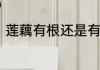 莲藕有根还是有茎　莲藕是根还是茎