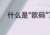 什么是“欧码”﹖　欧码是什么意思