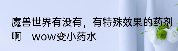魔兽世界有没有，有特殊效果的药剂啊　wow变小药水