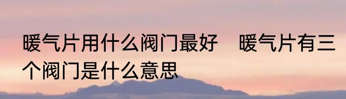 暖气片用什么阀门最好　暖气片有三个阀门是什么意思