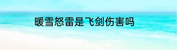 暖雪怒雷是飞剑伤害吗
