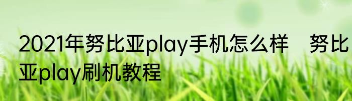 2021年努比亚play手机怎么样　努比亚play刷机教程
