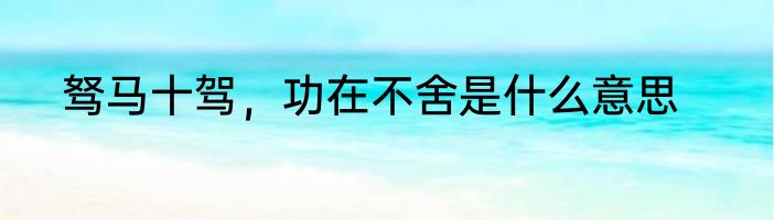 驽马十驾，功在不舍是什么意思