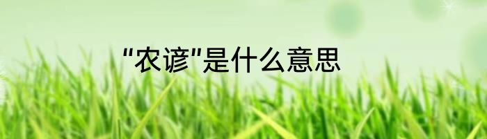 “农谚”是什么意思