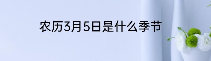 农历3月5日是什么季节