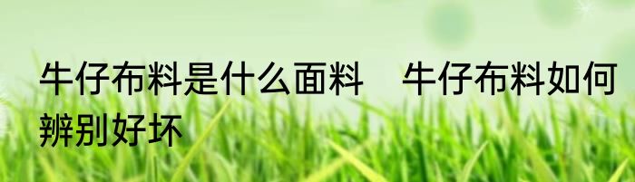 牛仔布料是什么面料　牛仔布料如何辨别好坏