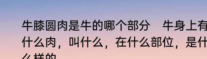 牛膝圆肉是牛的哪个部分　牛身上有什么肉，叫什么，在什么部位，是什么样的