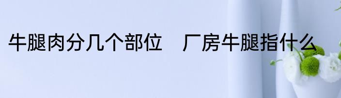 牛腿肉分几个部位　厂房牛腿指什么