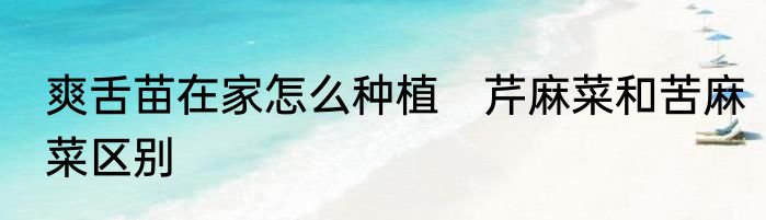 爽舌苗在家怎么种植　芹麻菜和苦麻菜区别