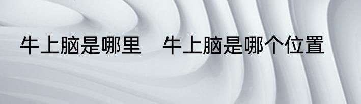牛上脑是哪里　牛上脑是哪个位置