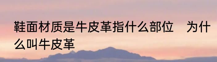 鞋面材质是牛皮革指什么部位　为什么叫牛皮革