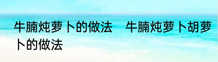 牛腩炖萝卜的做法　牛腩炖萝卜胡萝卜的做法