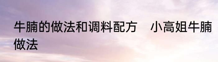 牛腩的做法和调料配方　小高姐牛腩做法