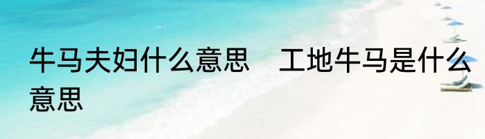 牛马夫妇什么意思　工地牛马是什么意思