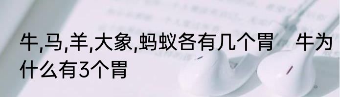 牛,马,羊,大象,蚂蚁各有几个胃　牛为什么有3个胃