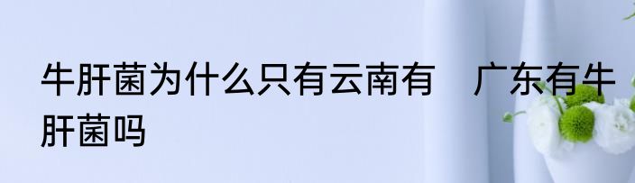 牛肝菌为什么只有云南有　广东有牛肝菌吗