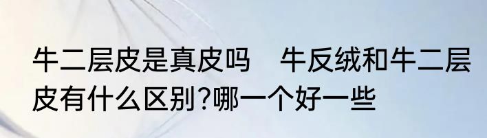 牛二层皮是真皮吗　牛反绒和牛二层皮有什么区别?哪一个好一些