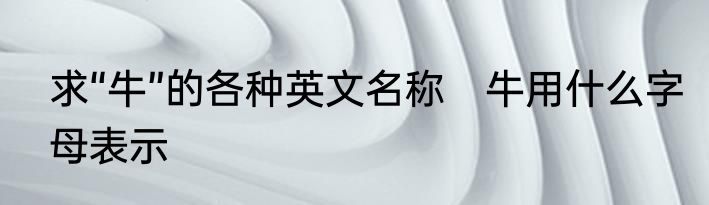求“牛”的各种英文名称　牛用什么字母表示