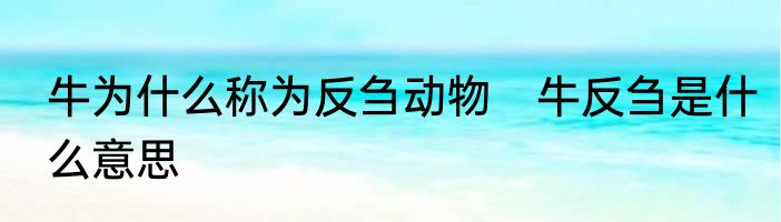 牛为什么称为反刍动物　牛反刍是什么意思