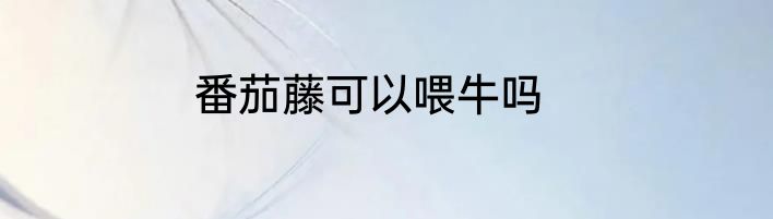 番茄藤可以喂牛吗