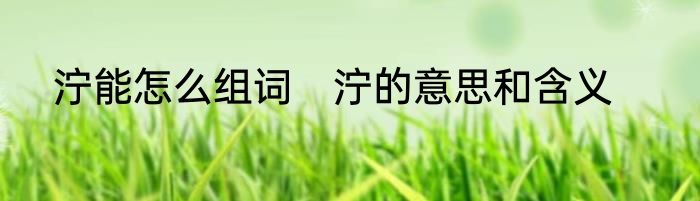 泞能怎么组词　泞的意思和含义